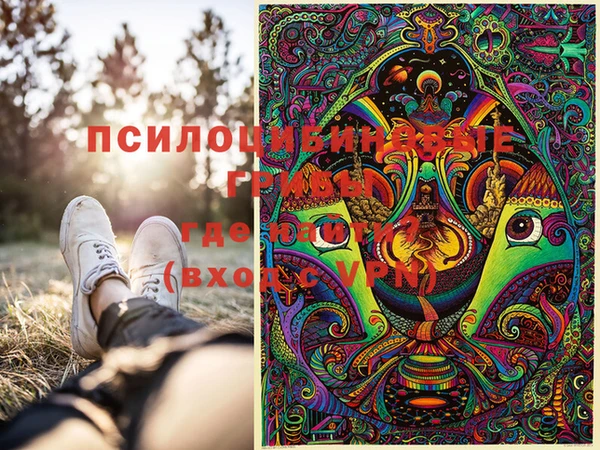 Альфа ПВП Абаза
