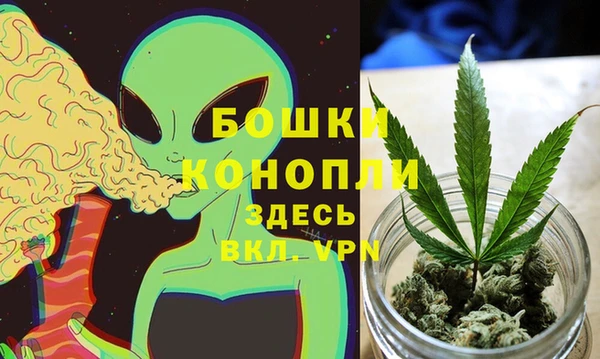 Альфа ПВП Абаза