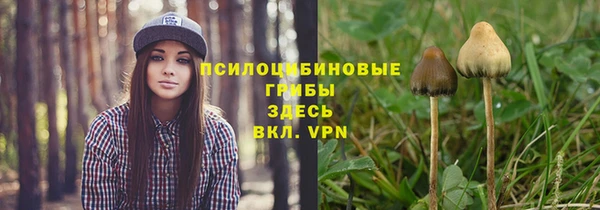 соль ск Абинск