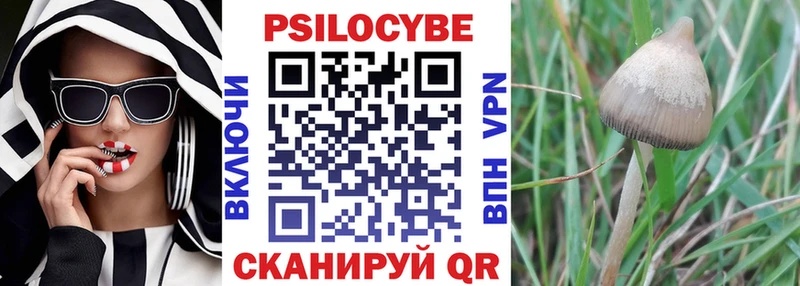 kraken   где найти   Людиново  Псилоцибиновые грибы GOLDEN TEACHER 